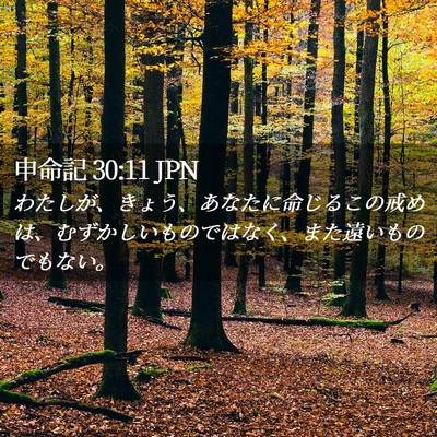 Picture 02 - 申命記 30:11 JPN - わたしが、きょう、あなたに命じる - Bible Verse Picture