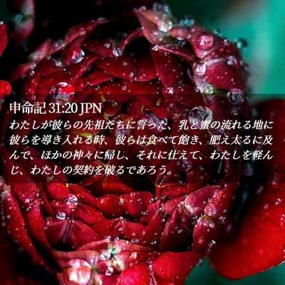 Picture 02 - 申命記 31:20 JPN - わたしが彼らの先祖たちに誓った、 - Bible Verse Picture