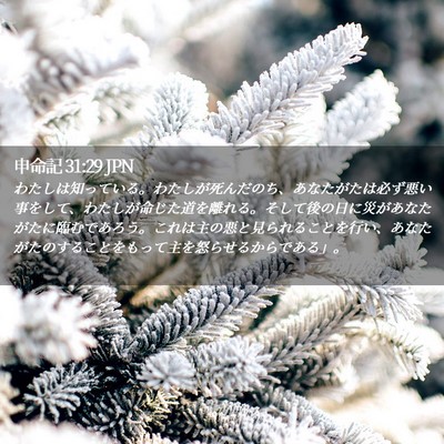Picture 02 - 申命記 31:29 JPN - わたしは知っている。わたしが死ん - Bible Verse Picture