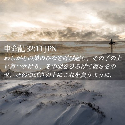 Picture 02 - 申命記 32:11 JPN - わしがその巣のひなを呼び起し、そ - Bible Verse Picture