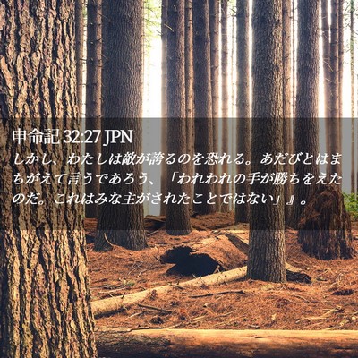 Picture 02 - 申命記 32:27 JPN - しかし、わたしは敵が誇るのを恐れ - Bible Verse Picture