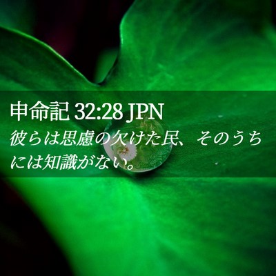 Picture 02 - 申命記 32:28 JPN - 彼らは思慮の欠けた民、そのうちに - Bible Verse Picture