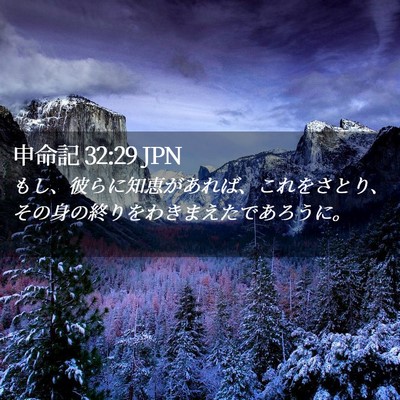 Picture 02 - 申命記 32:29 JPN - もし、彼らに知恵があれば、これを - Bible Verse Picture