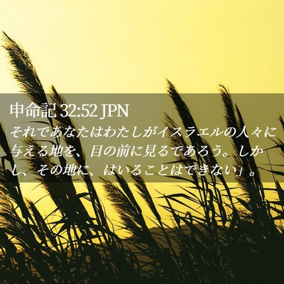 Picture 02 - 申命記 32:52 JPN - それであなたはわたしがイスラエル - Bible Verse Picture