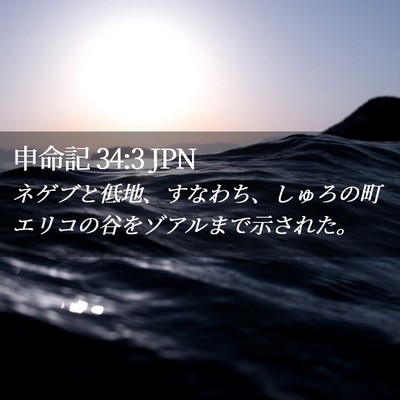 Picture 02 - 申命記 34:3 JPN - ネゲブと低地、すなわち、しゅろの - Bible Verse Picture