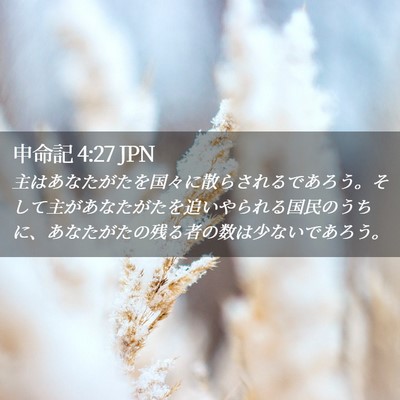 Picture 02 - 申命記 4:27 JPN - 主はあなたがたを国々に散らされる - Bible Verse Picture