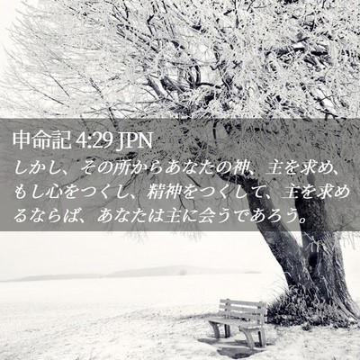 Picture 02 - 申命記 4:29 JPN - しかし、その所からあなたの神、主 - Bible Verse Picture