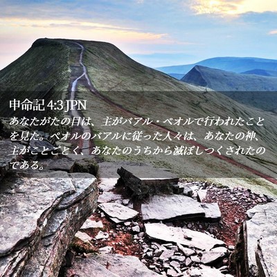 Picture 02 - 申命記 4:3 JPN - あなたがたの目は、主がバアル・ペ - Bible Verse Picture