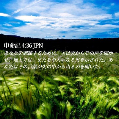 Picture 02 - 申命記 4:36 JPN - あなたを訓練するために、主は天か - Bible Verse Picture