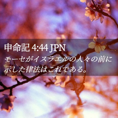 Picture 02 - 申命記 4:44 JPN - モーセがイスラエルの人々の前に示 - Bible Verse Picture