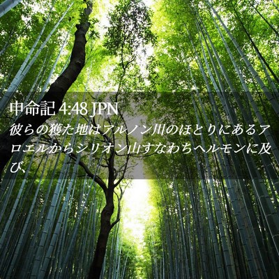 Picture 02 - 申命記 4:48 JPN - 彼らの獲た地はアルノン川のほとり - Bible Verse Picture