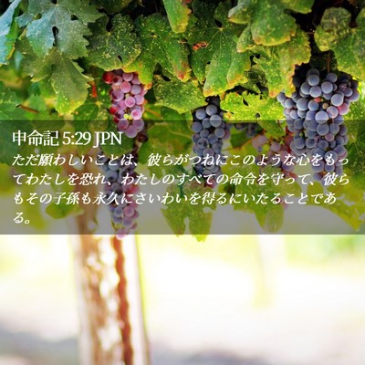 Picture 02 - 申命記 5:29 JPN - ただ願わしいことは、彼らがつねに - Bible Verse Picture