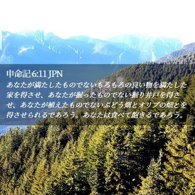 Picture 02 - 申命記 6:11 JPN - あなたが満たしたものでないもろも - Bible Verse Picture