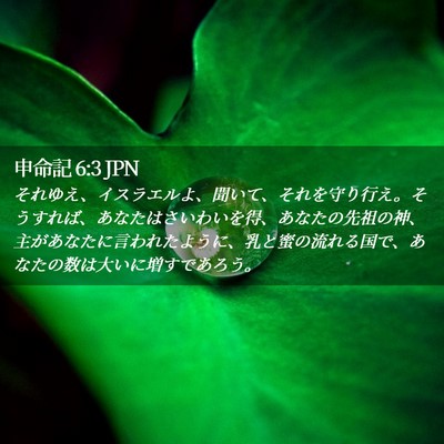 Picture 02 - 申命記 6:3 JPN - それゆえ、イスラエルよ、聞いて、 - Bible Verse Picture