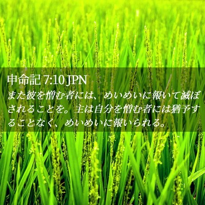 Picture 02 - 申命記 7:10 JPN - また彼を憎む者には、めいめいに報 - Bible Verse Picture