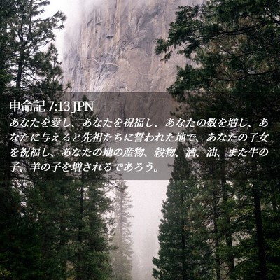 Picture 02 - 申命記 7:13 JPN - あなたを愛し、あなたを祝福し、あ - Bible Verse Picture