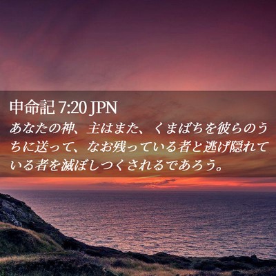 Picture 02 - 申命記 7:20 JPN - あなたの神、主はまた、くまばちを - Bible Verse Picture