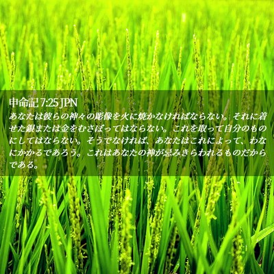 Picture 02 - 申命記 7:25 JPN - あなたは彼らの神々の彫像を火に焼 - Bible Verse Picture