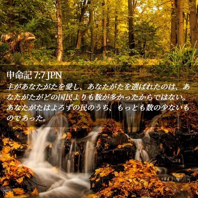 Picture 02 - 申命記 7:7 JPN - 主があなたがたを愛し、あなたがた - Bible Verse Picture