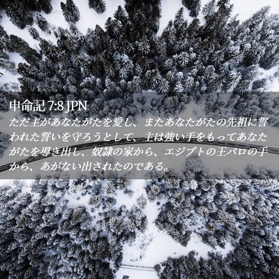 Picture 02 - 申命記 7:8 JPN - ただ主があなたがたを愛し、またあ - Bible Verse Picture
