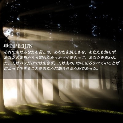 Picture 02 - 申命記 8:3 JPN - それで主はあなたを苦しめ、あなた - Bible Verse Picture