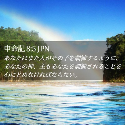 Picture 02 - 申命記 8:5 JPN - あなたはまた人がその子を訓練する - Bible Verse Picture