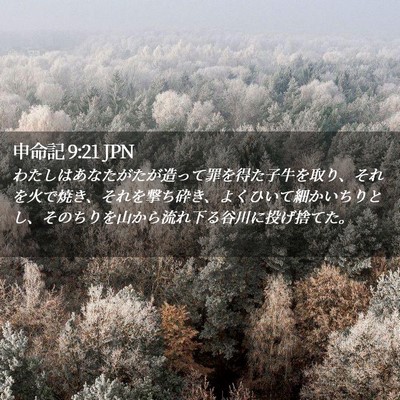 Picture 02 - 申命記 9:21 JPN - わたしはあなたがたが造って罪を得 - Bible Verse Picture