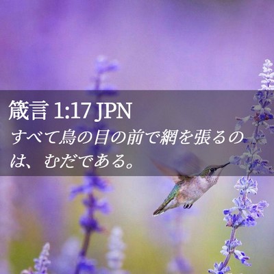 Picture 02 - 箴言 1:17 JPN - すべて鳥の目の前で網を張るのは、 - Bible Verse Picture