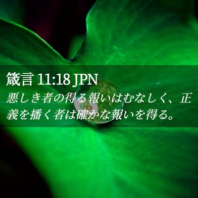 Picture 02 - 箴言 11:18 JPN - 悪しき者の得る報いはむなしく、正 - Bible Verse Picture