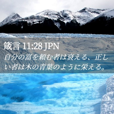 Picture 02 - 箴言 11:28 JPN - 自分の富を頼む者は衰える、正しい - Bible Verse Picture