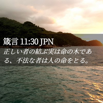 Picture 02 - 箴言 11:30 JPN - 正しい者の結ぶ実は命の木である、 - Bible Verse Picture