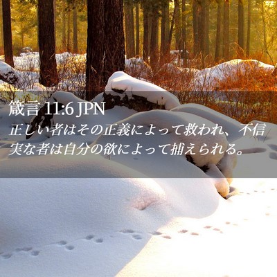Picture 02 - 箴言 11:6 JPN - 正しい者はその正義によって救われ - Bible Verse Picture