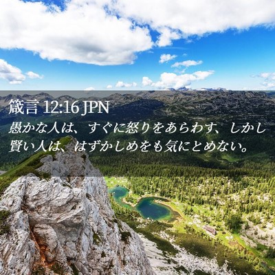 Picture 02 - 箴言 12:16 JPN - 愚かな人は、すぐに怒りをあらわす - Bible Verse Picture