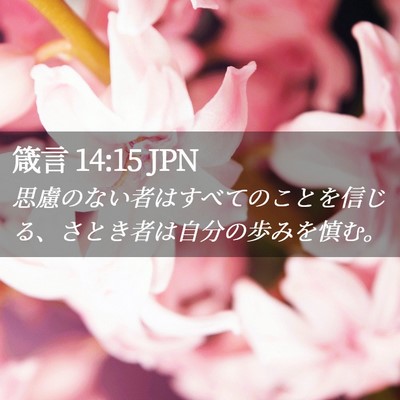 Picture 02 - 箴言 14:15 JPN - 思慮のない者はすべてのことを信じ - Bible Verse Picture