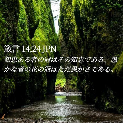Picture 02 - 箴言 14:24 JPN - 知恵ある者の冠はその知恵である、 - Bible Verse Picture