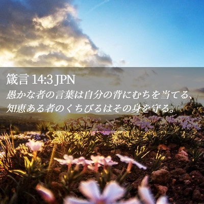 Picture 02 - 箴言 14:3 JPN - 愚かな者の言葉は自分の背にむちを - Bible Verse Picture