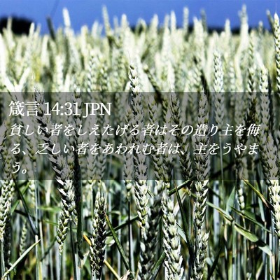 Picture 02 - 箴言 14:31 JPN - 貧しい者をしえたげる者はその造り - Bible Verse Picture