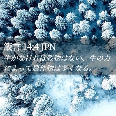 Picture 02 - 箴言 14:4 JPN - 牛がなければ穀物はない、牛の力に - Bible Verse Picture