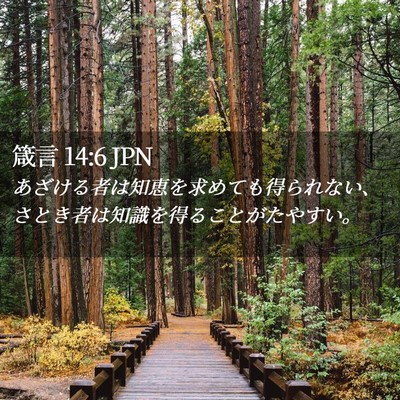 Picture 02 - 箴言 14:6 JPN - あざける者は知恵を求めても得られ - Bible Verse Picture