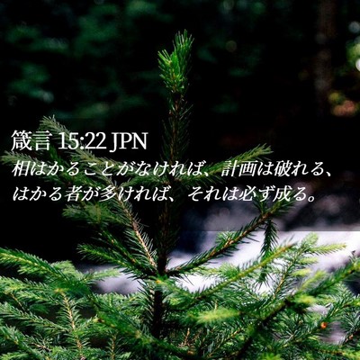 Picture 02 - 箴言 15:22 JPN - 相はかることがなければ、計画は破 - Bible Verse Picture