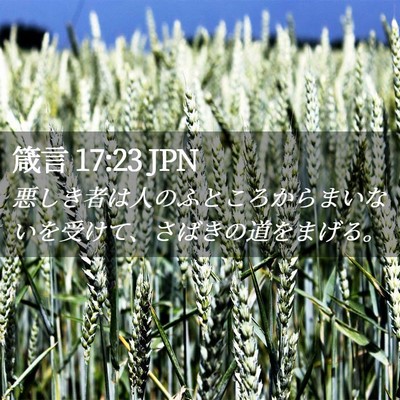 Picture 02 - 箴言 17:23 JPN - 悪しき者は人のふところからまいな - Bible Verse Picture