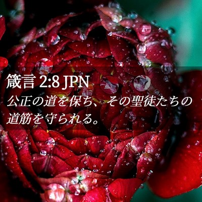 Picture 02 - 箴言 2:8 JPN - 公正の道を保ち、その聖徒たちの道 - Bible Verse Picture