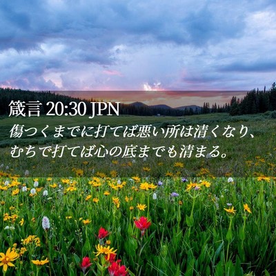Picture 02 - 箴言 20:30 JPN - 傷つくまでに打てば悪い所は清くな - Bible Verse Picture