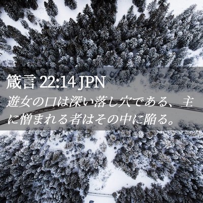 Picture 02 - 箴言 22:14 JPN - 遊女の口は深い落し穴である、主に - Bible Verse Picture