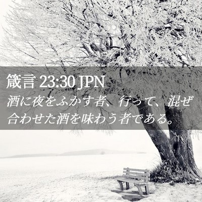 Picture 02 - 箴言 23:30 JPN - 酒に夜をふかす者、行って、混ぜ合 - Bible Verse Picture