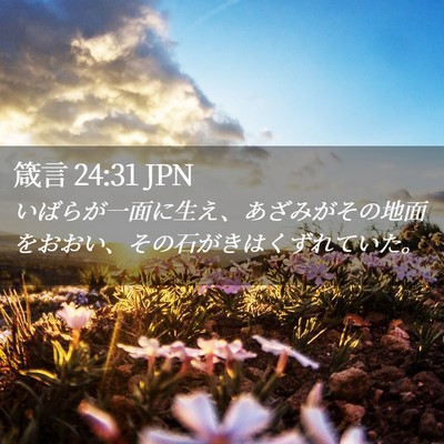 Picture 02 - 箴言 24:31 JPN - いばらが一面に生え、あざみがその - Bible Verse Picture
