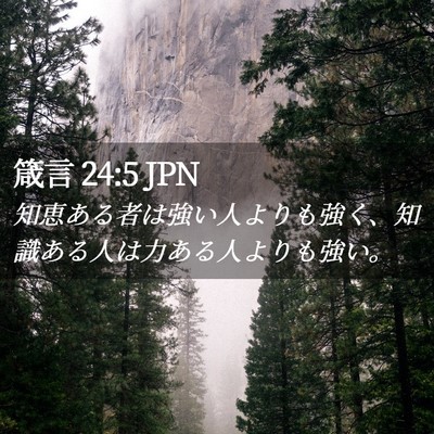 Picture 02 - 箴言 24:5 JPN - 知恵ある者は強い人よりも強く、知 - Bible Verse Picture