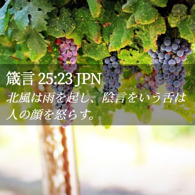Picture 02 - 箴言 25:23 JPN - 北風は雨を起し、陰言をいう舌は人 - Bible Verse Picture