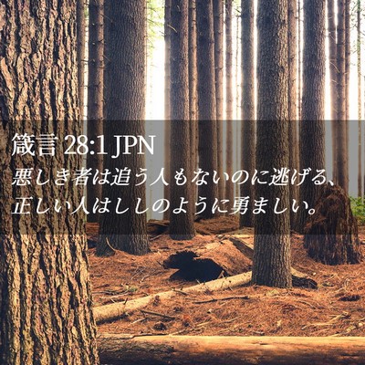 Picture 02 - 箴言 28:1 JPN - 悪しき者は追う人もないのに逃げる - Bible Verse Picture