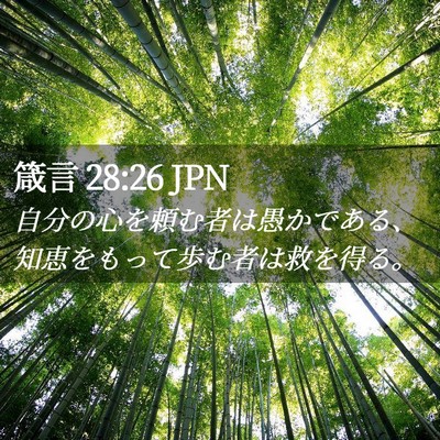 Picture 02 - 箴言 28:26 JPN - 自分の心を頼む者は愚かである、知 - Bible Verse Picture